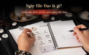 ngay-hac-dao-la-gi-huong-dan-tu-a-z-de-hieu-ro-tranh-xui-xeo_238