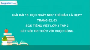 ngay-nhu-the-nao-la-dep-y-nghia-va-cach-hieu-sau-sac-nhat_757
