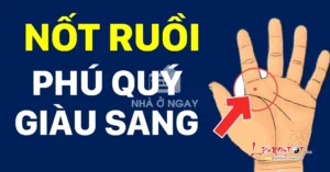not-ruoi-trong-long-ban-tay-giai-ma-van-menh-tai-loc-chi-tie_991