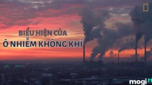 o-nhiem-khong-khi-la-gi-hieu-ro-va-hanh-dong-bao-ve-tuong-la_230