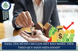 sang-ten-so-do-cho-con-het-bao-nhieu-tien-nam-2026-cap-nhat-_479