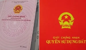 sang-ten-so-do-mat-bao-lau-giai-ma-quy-trinh-yeu-to-anh-huon_965