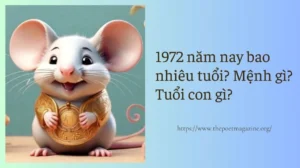 sinh-nam-1972-nam-nay-bao-nhieu-tuoi-2026-giai-dap-chuan-xac_205