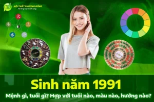 sinh-nam-1991-hop-voi-tuoi-nao-giai-ma-phong-thuy-tan-mui-20_227