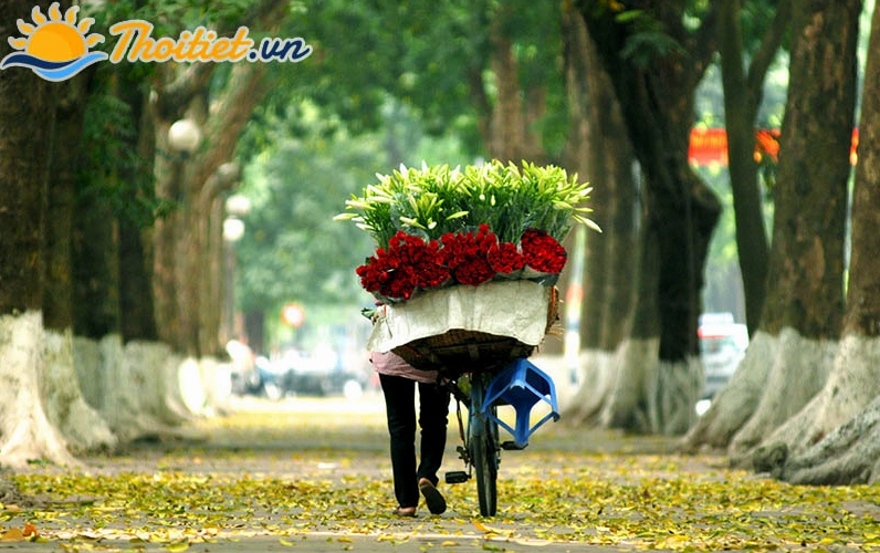 Thời tiết mùa thu mát mẻ và dễ chịu ở miền Bắc