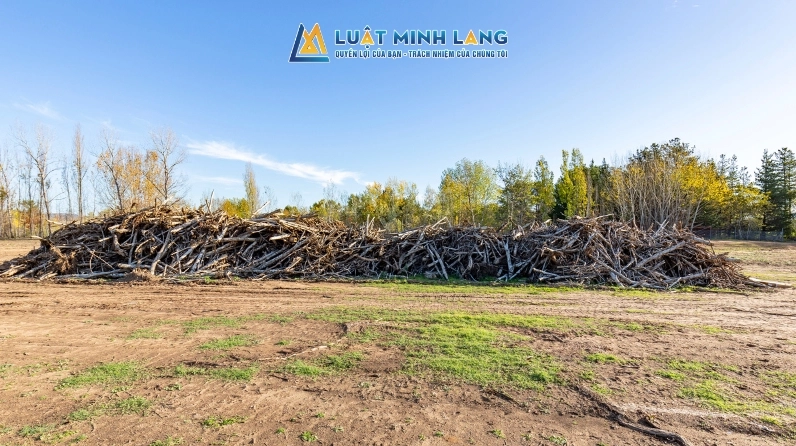 Thuế đất thổ cư: Giải đáp thắc mắc về việc đóng thuế hàng năm