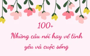 tong-hop-nhung-cau-noi-hay-ve-tinh-yeu-chan-thanh-y-nghia-nh_304