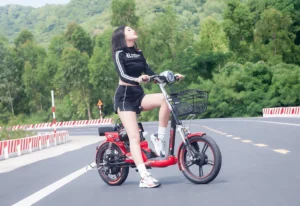 top-12-xe-dap-dien-gia-tu-3-den-5-trieu-tot-nhat-2026_857