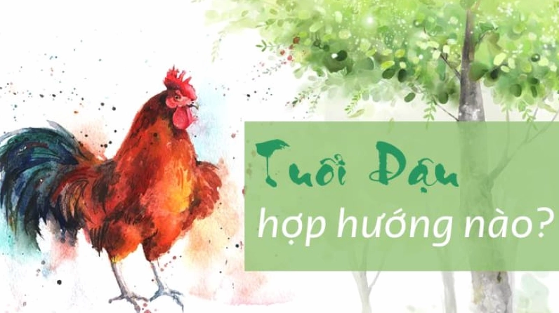 Tuổi Dậu hợp hướng nào?