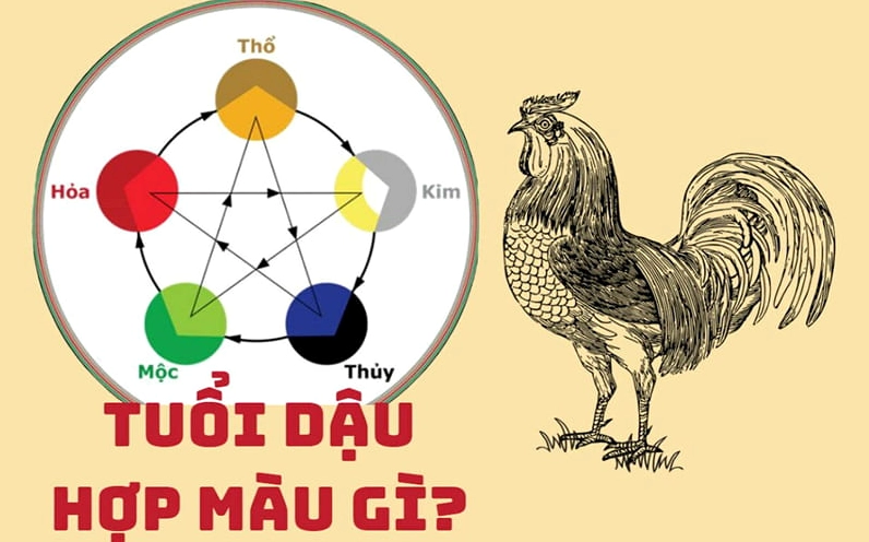 Tuổi Dậu hợp màu gì – kỵ màu gì?