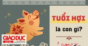tuoi-hoi-sinh-nam-bao-nhieu-giai-ma-chi-tiet-van-menh-tinh-c_310