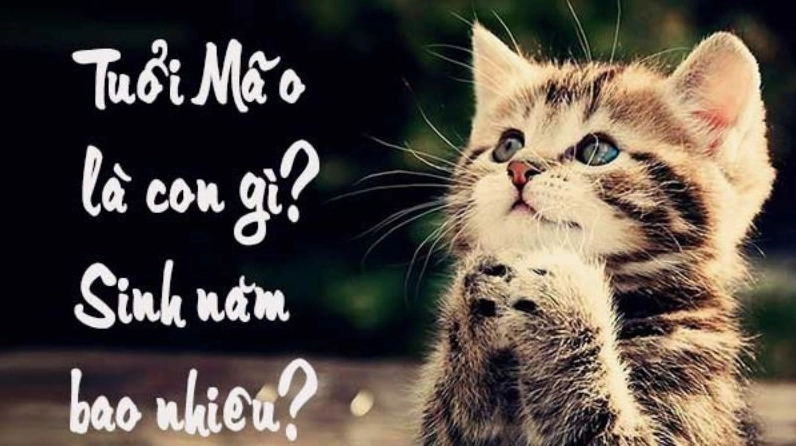 Tuổi Mão sinh năm bao nhiêu?