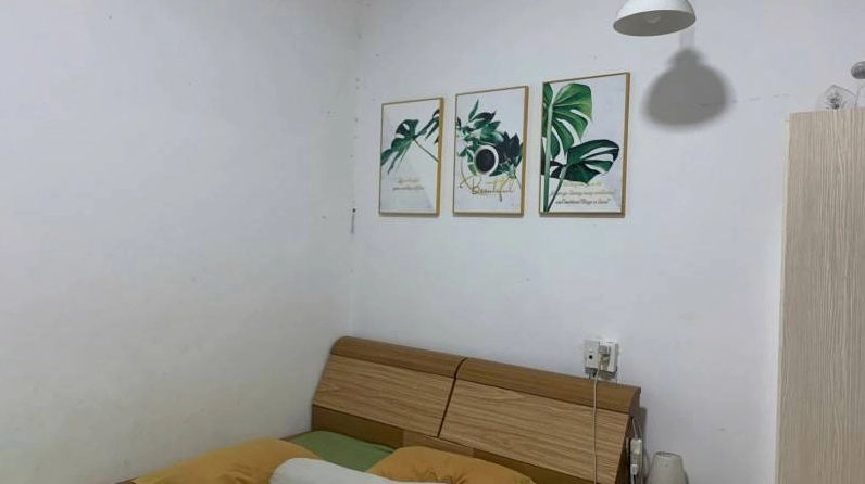 tuổi tân dậu 1981 có giàu không