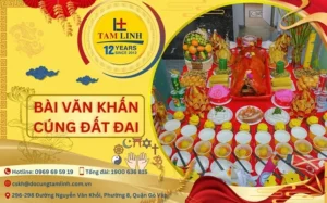 van-khan-cung-dat-dai-cuc-chuan-huong-dan-tung-buoc-chi-tiet_119
