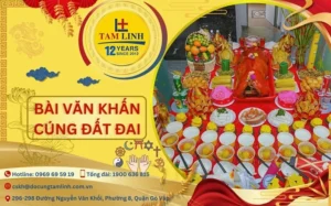 van-khan-cung-dat-dai-trong-nha-chuan-xac-2026-huong-dan-tu-_350