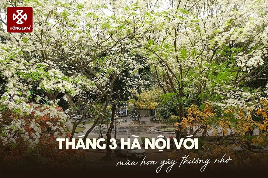 văn khấn đi chùa cầu bình an