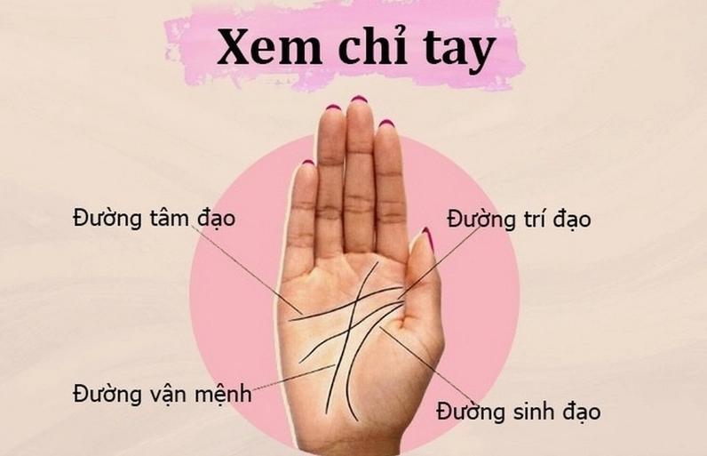 xem bói chỉ tay online miễn phí chính xác