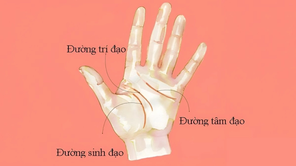 Xem chỉ tay dự đoán vận mệnh có chính xác không