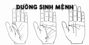 xem-chi-tay-duong-sinh-menh-bi-an-giai-ma-suc-khoe-cuoc-doi-_417