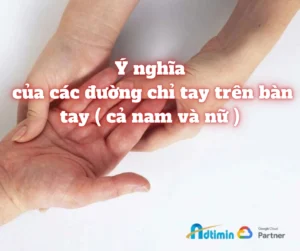 xem-chi-tay-nam-bi-quyet-giai-ma-van-menh-su-nghiep-chinh-xa_511