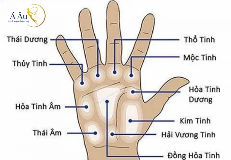 Ý nghĩa của 17 nốt ruồi ở lòng bàn tay